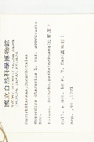 小苦瓜藏品圖，第2張