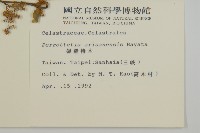 佩羅特木藏品圖，第2張