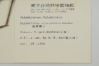 佩羅特木藏品圖，第2張