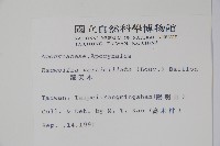 蘿芙木藏品圖，第2張