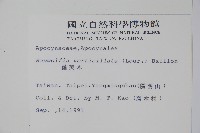 蘿芙木藏品圖，第2張