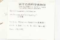 土丁桂藏品圖，第2張