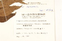 黃菀藏品圖，第2張