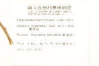 蔓黃菀藏品圖，第2張