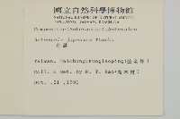 牡蒿藏品圖，第2張