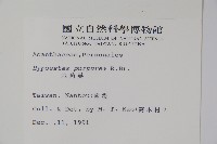 六角英, 槍刀菜藏品圖，第2張