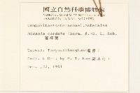 蔓澤蘭藏品圖，第2張