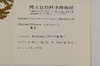 油菊藏品圖，第2張