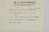 小艾、矮蒿藏品圖，第2張