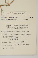 玉山抱莖籟簫藏品圖，第2張