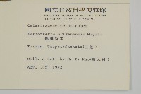 佩羅特木藏品圖，第2張