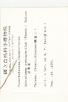 絞股藍藏品圖，第2張