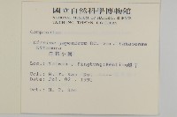 雞觴刺、島薊藏品圖，第2張