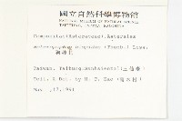 狗娃花藏品圖，第2張