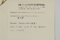 茵蔯蒿藏品圖，第2張