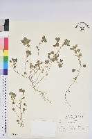 登錄號:S007754藏品圖，第1張