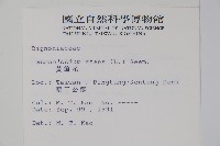 黃鐘花藏品圖，第2張