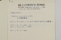 大花咸豐草藏品圖，第2張