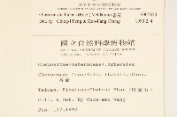 香茹藏品圖，第2張