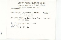 青莢葉藏品圖，第2張