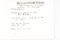 玉山佛甲草藏品圖，第2張