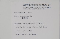 臙脂樹藏品圖，第2張