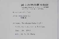 臙脂樹藏品圖，第2張