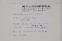 長葉小蘗藏品圖，第2張