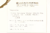 刀傷草藏品圖，第2張