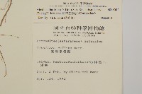 臺灣鬼督郵藏品圖，第2張