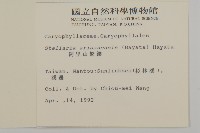 阿里山繁縷藏品圖，第2張