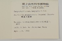 阿里山繁縷藏品圖，第2張