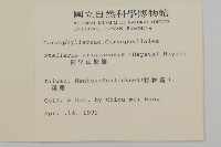 阿里山繁縷藏品圖，第2張