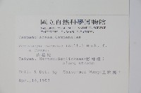 山桔梗藏品圖，第2張