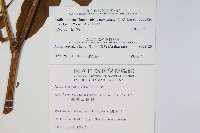 登錄號:S008120藏品圖，第2張