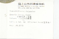 亨利氏伊立基藤藏品圖，第2張