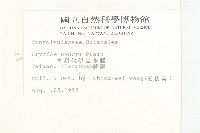 亨利氏伊立基藤藏品圖，第2張