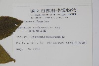 蘭邯千金榆藏品圖，第2張