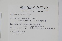 阿里山千金榆藏品圖，第2張