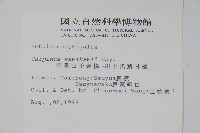 阿里山千金榆藏品圖，第2張