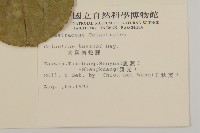 大葉南蛇藤藏品圖，第2張