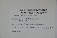 樺葉莢迷、玉山莢迷藏品圖，第2張