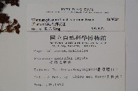 蝴蝶莢迷藏品圖，第2張