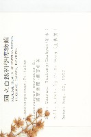 錫蘭橄欖、鋸葉杜英藏品圖，第2張