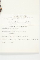 山柿, 山豆柿藏品圖，第2張