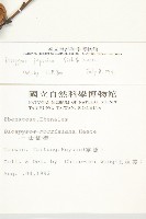 山柿, 山豆柿藏品圖，第2張