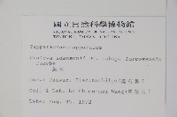 魚木藏品圖，第2張