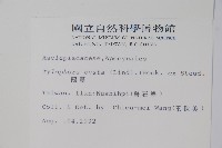 鷗蔓藏品圖，第2張