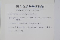 鷗蔓藏品圖，第2張