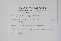 鷗蔓藏品圖，第2張